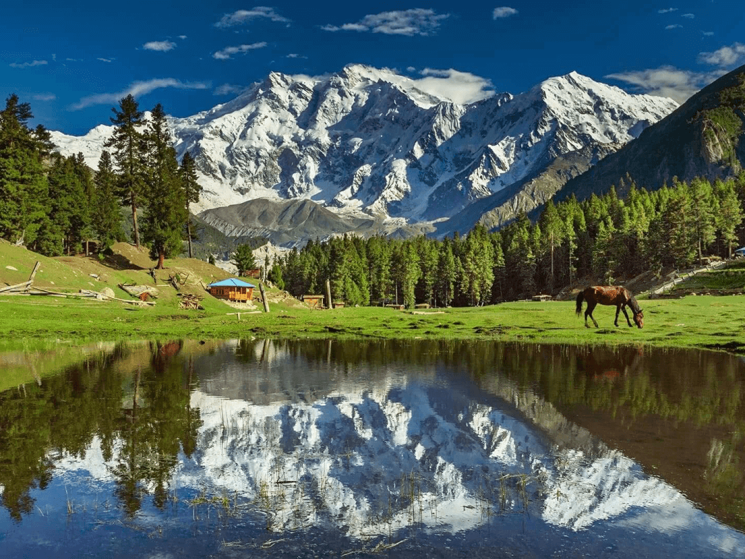 10 Days Hunza, Phander & Fairy Meadow Tour